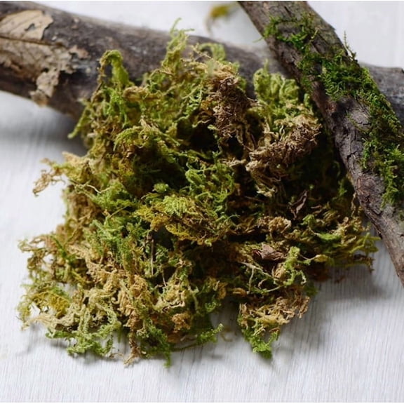 Artificial Moss for Plants Decoration and Crafts, 11.5oz Faux Green Moss for Indoor Potted Plants, Fake Moss for Planters and Home Decor Garden Floral Wedding