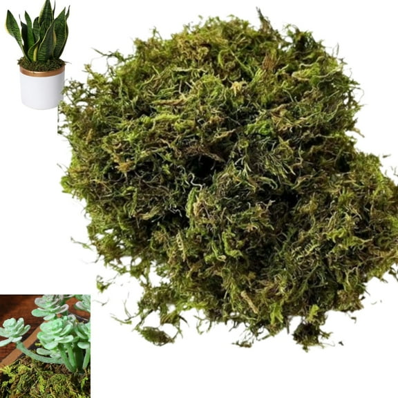 Artificial Moss for Plants Decoration and Crafts, 11.5oz Faux Green Moss for Indoor Potted Plants, Fake Moss for Planters and Home Decor Garden Floral Wedding