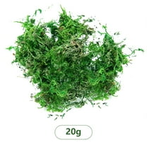 Artificial Moss for Potted Plant Decor, Kingtowag Natural-Looking Preserved Moss for Fairy Gardens, Potted Plants, and Crafts, Eco-Friendly, Odorless, and Biodegradable, Stays Green Forever - #A