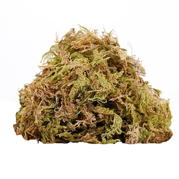 Artificial Moss for Potted Plants, Fake Moss for Plants Indoor, Natural Fake Moss Grass for Plants Indoor, Craft and Greenery Bulk for Hamsters, 3.53 Oz