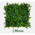 thumbnail image 1 of Artificial Moss Wall Panels, 1 of 7