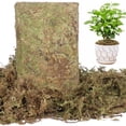 thumbnail image 1 of DIY Filamentous Moss, 2.2 lbs Dried Moss with Realistic Texture, Decorative Landscaping Material for Planting, Terrariums, Vivariums, and Garden Decoration, 1 of 6