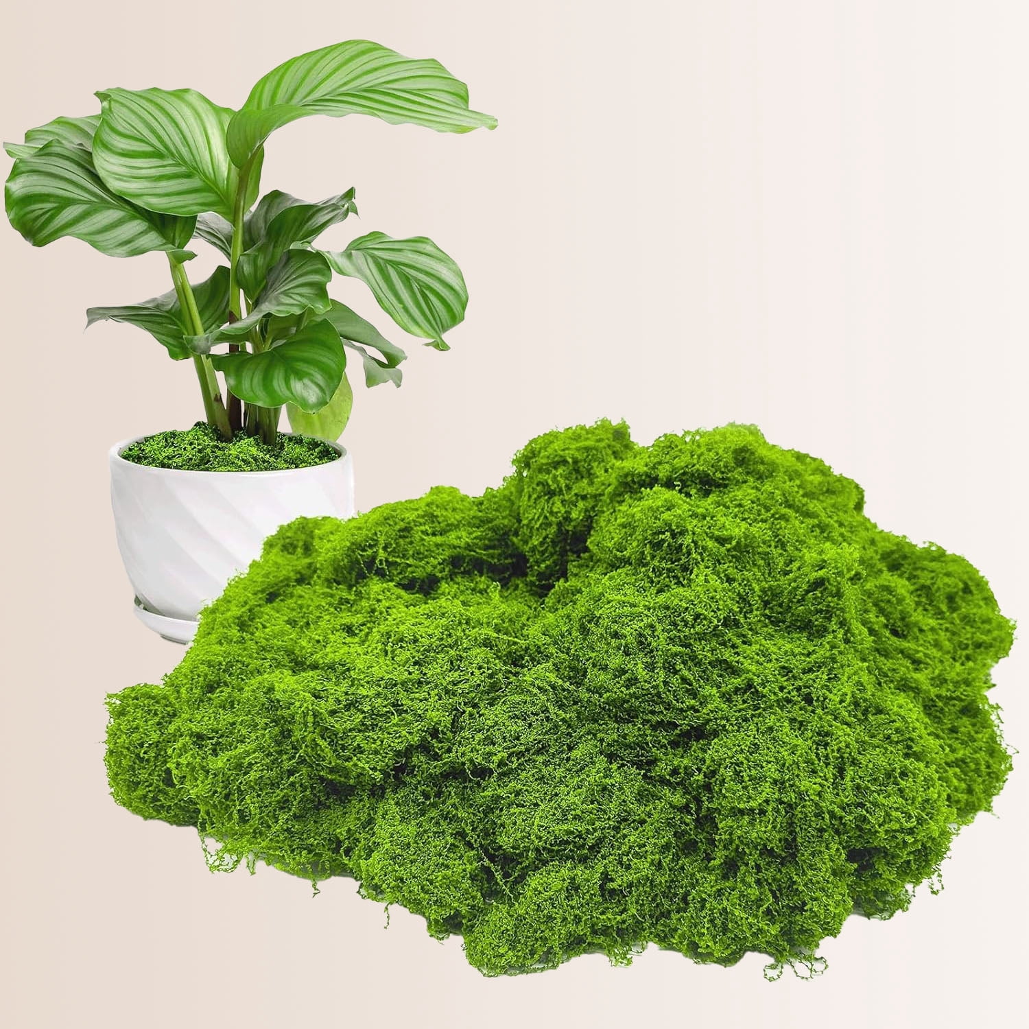 Artificial Moss for Potted Plants, Crafts, Fairy Garden Decor, DIY, Model Making, Walls, Glass Containers