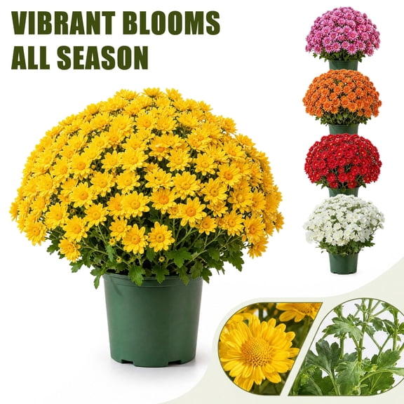 Artificial Mums for Outdoor, 5 Bunches UV Resistant & Waterproof Fake Fall Daisy Flowers, Maintenance-Free Autumn Decor for Front Porch, Patio, Planter & Home