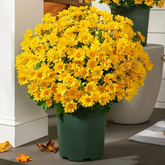 Artificial Mums for Outdoors Faux Mums for Outdoor Planters 5 Bundles Fall Flowers Artificial for Decoration Faux Flower Daisy for Outdoor Indoor Decoration Yellow
