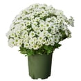 thumbnail image 1 of Artificial Mums for Outdoors, Ongmies Artificial Sunset Mums, Uv Resistant No Fade for Outside Porch Garden Pots Planters Autumn Fall Decor, 1 of 8