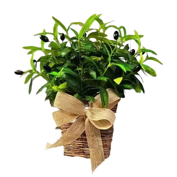 Artificial Olive Branch Wreath, 17.72 Inch Diameter Lifelike Faux Olive Decor for Front Door, Wall, Window, Rustic Farmhouse Home Decor, No Maintenance Evergreen