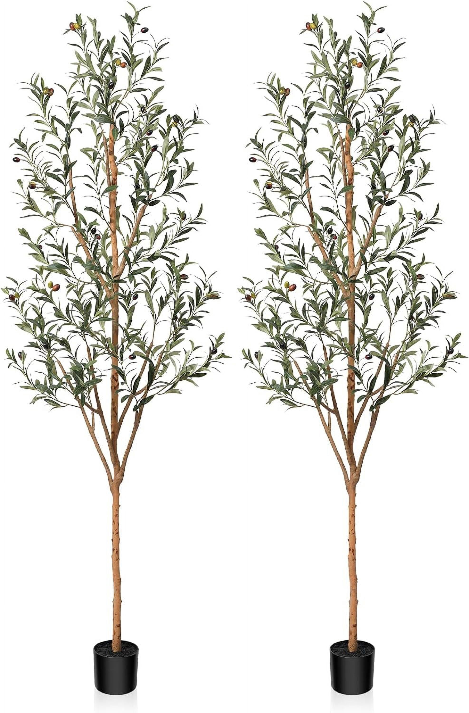 Artificial Olive Tree 6FT Tall Faux Silk Plant for Home Office Decor ...
