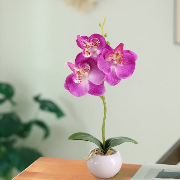Artificial Orchid Bonsai Potted Plant, Silk Phalaenopsis Flowers 11 Inch, Multiple Colors Available, Small Round Ceramic Pot, Arrangement for Tabletop, Home, Office, Wedding Decor
