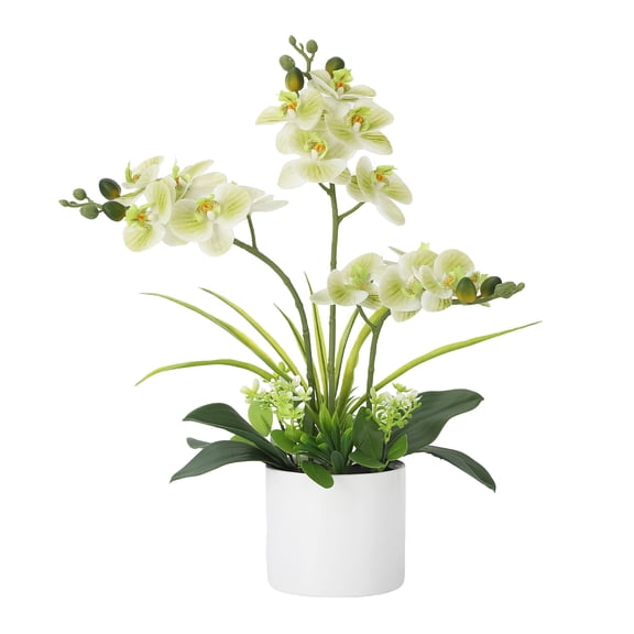 Artificial Orchid Faux Orchids – Real Touch Silk Phalaenopsis Arrangement in Vase, Elegant Table Centerpiece for Home, Office, Wedding Decor – Realistic, Low Maintenance – Green