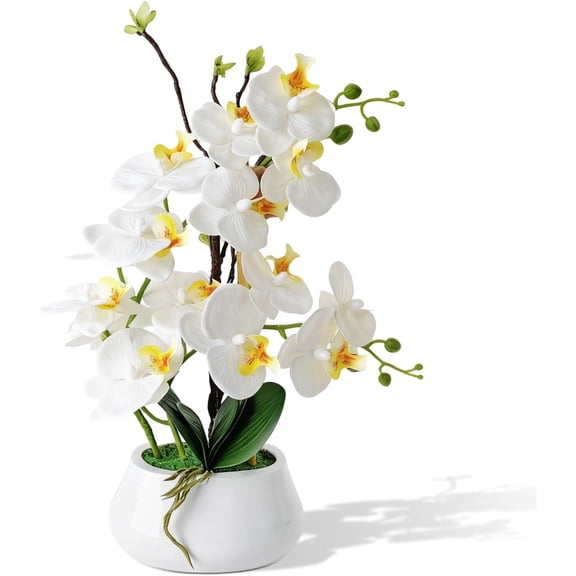 Artificial Orchid Flowers in Ceramic Pot -Realistic Silk Phalaenopsis Flower, 17in Faux Orchid Plant for Home Decor Housewarming Gift Table Centre Piece Decoration Window Sill Decorations