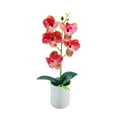 thumbnail image 1 of Artificial Orchid in Pot, Fake Phalaenopsis Orchid, Faux Butterfly Orchid Plant, Silk Flower Arrangement, Potted Bonsai Plant for Home Office Indoor Decoration, Table Centerpiece Ornament, 1 of 7