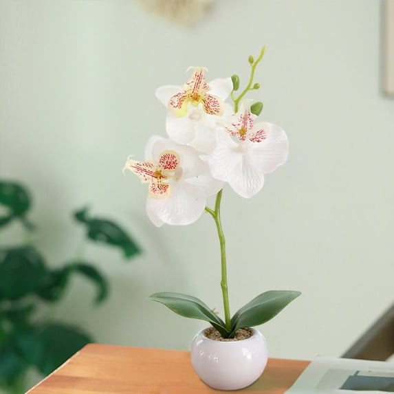 Artificial Orchid, Silk Phalaenopsis, Realistic Fake Flower Bonsai in Ceramic Pot for Home Wedding Office Tabletop Decor