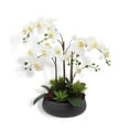 thumbnail image 1 of Artificial Orchid with Succulents, 1 of 5