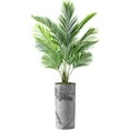 thumbnail image 1 of Artificial Palm Tree in Modern Planter, Fake Areca Tropical Palm Silk Tree for Indoor Outdoor Home Decoration - 66" Overall Tall (Plant Pot Plus Tree), 1 of 5