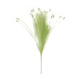 thumbnail image 1 of Pampas Grass Faux Pompas Velvety Artificial Fake Flower Gothic Decor Suitable For Festival Wedding Birthday Party Decoration Contemporary Interior Decor, 1 of 6