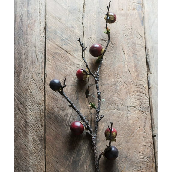 Artificial Passion Fruit Stem 37" Tall Silk Plant