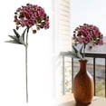thumbnail image 1 of Artificial Perennial Sweet Alyssum Flower Stem 14In Fake Ball Flower for Home Wedding Vase Floral Arrangement Decor (Burgundy), 1 of 9
