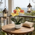 thumbnail image 1 of Artificial Phalaenopsis Orchid With Pot Faux Flower Planter - Yellow Plastic Home Decor Centerpiece 6.88in Height, 1 of 6
