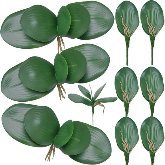 Artificial Phalaenopsis Orchids Leaves inches Green Faux Orchids Leaf (0 Pcs)