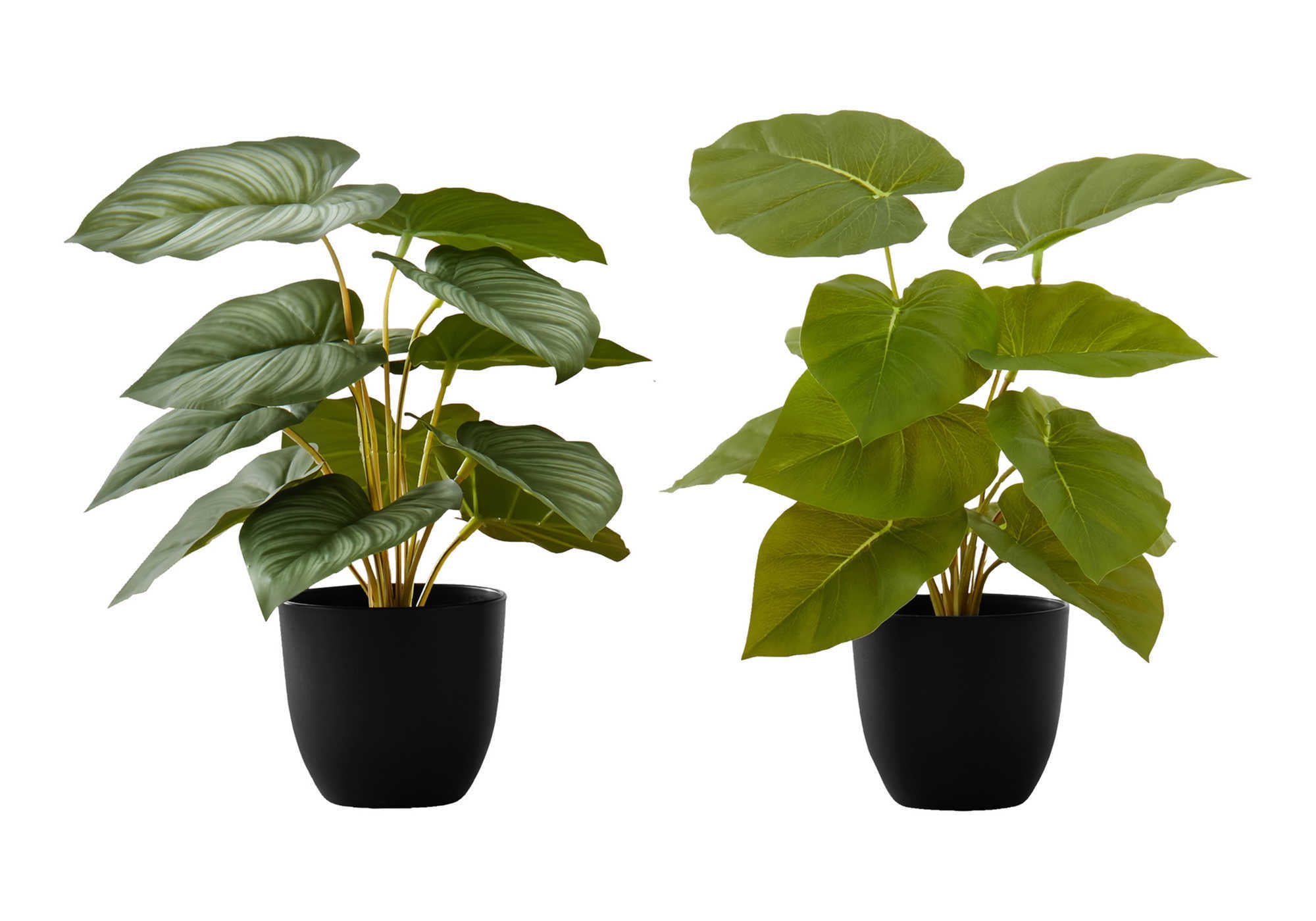 Set of 2 Green Epipremnum Faux Plants in Black Pots