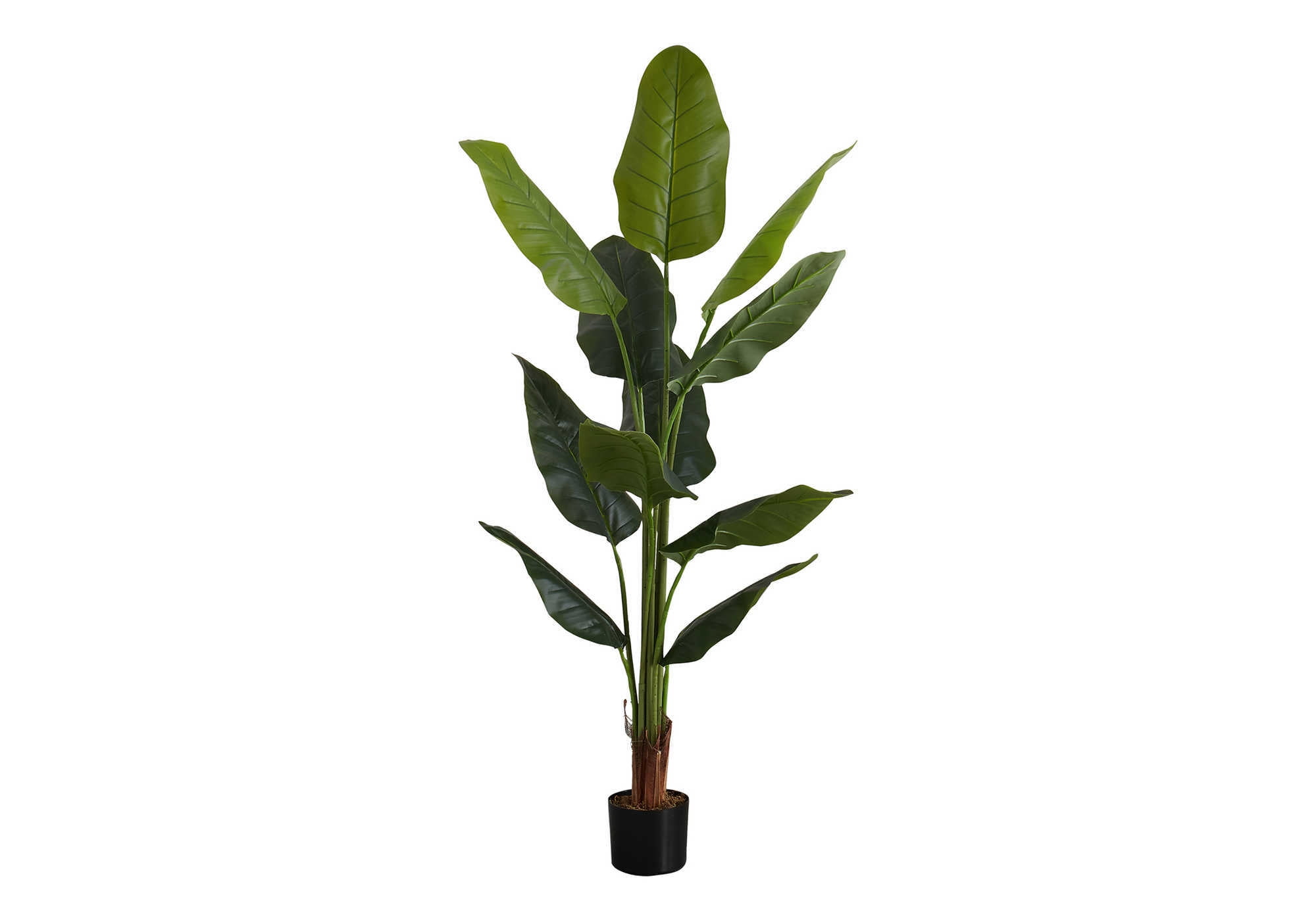 Tall Green Faux Strelitzia Floor Plant in Black Pot