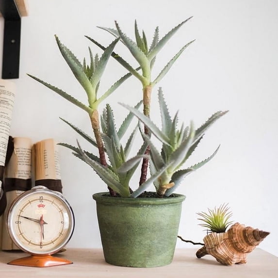 Artificial Plant Aloe Arborescens Potted Plant 12" Tall