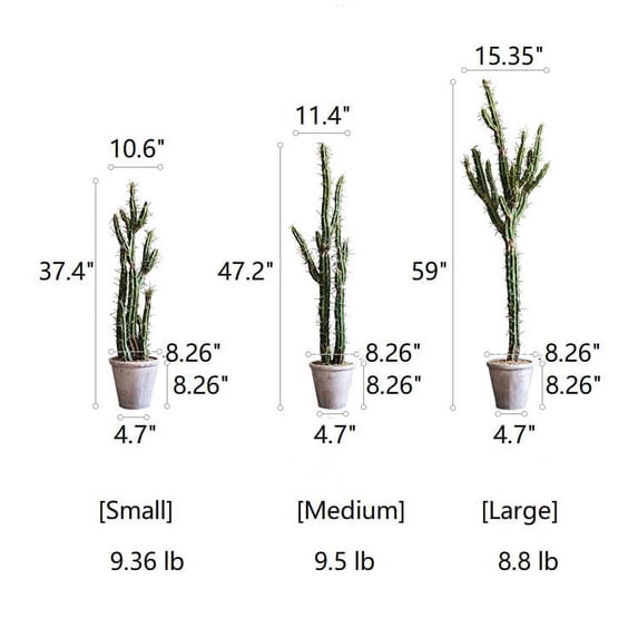 Artificial Plant Chihuahua Desert Cactus