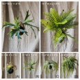 thumbnail image 1 of Artificial Plant Hanging Fern Plant D&eacute;coration, 1 of 5