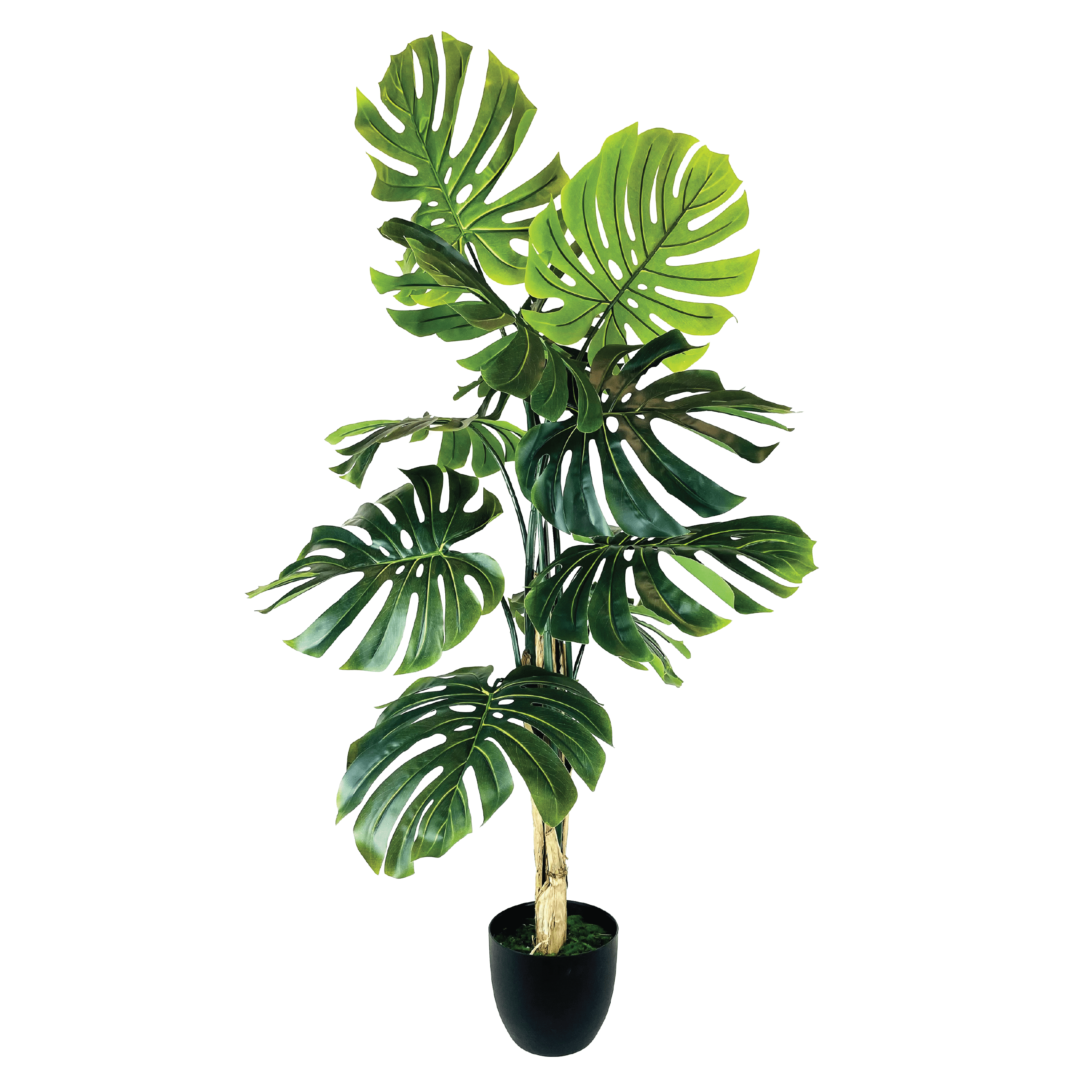 Artificial Plant, LCG Florals 5.5ft Monstera Tree in Black Growers Pot, Fake Indoor Faux Plant for Living Room, Office, and Home Decor