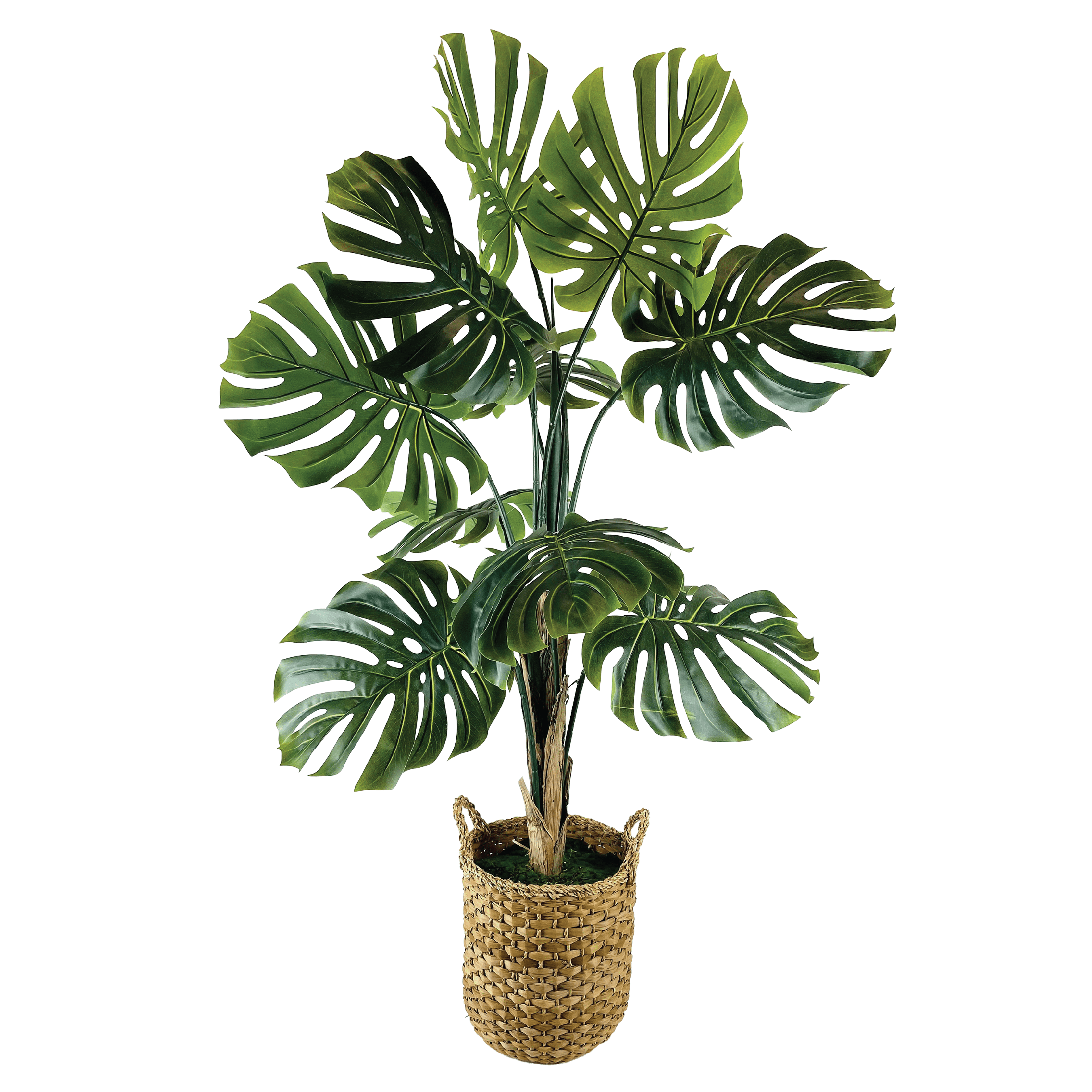 Artificial Plant, LCG Florals 5.5ft Monstera Tree in Deco Basket, Fake Indoor Faux Plant for Living Room, Office, and Home Decor