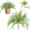 thumbnail image 1 of Artificial Plant Large Greenery Plants Outside Plants Bushes for indoor Table Outdoor Planter Decor,Green, 1 of 9