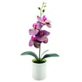 thumbnail image 1 of Artificial Plant No-watering Realistic Weather-resistant Outdoor Indoor Potted Fake Orchid Flower for Balcony Blue PV, 1 of 8
