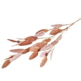 thumbnail image 1 of Artificial Plant Realistic Looking No Watering Non-Withered Plastic 5 Forks Simulation Green Eucalyptus Leaves with Fake Beans Home Decor-Coffee, 1 of 6