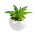 thumbnail image 1 of Artificial Plant Vivid Natural PVC Realistic Fresh Keeping Mini Table Decor Artificial Succulents Bonsai for Desktop, 1 of 7