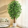 thumbnail image 1 of 6ft Ficus Artificial Trees with 3 Natural Curved Trunks, 72" Tall Lush Faux Tree for Home Decor Indoor, Green Lifelike Fake Ficus Tree, 1 of 5