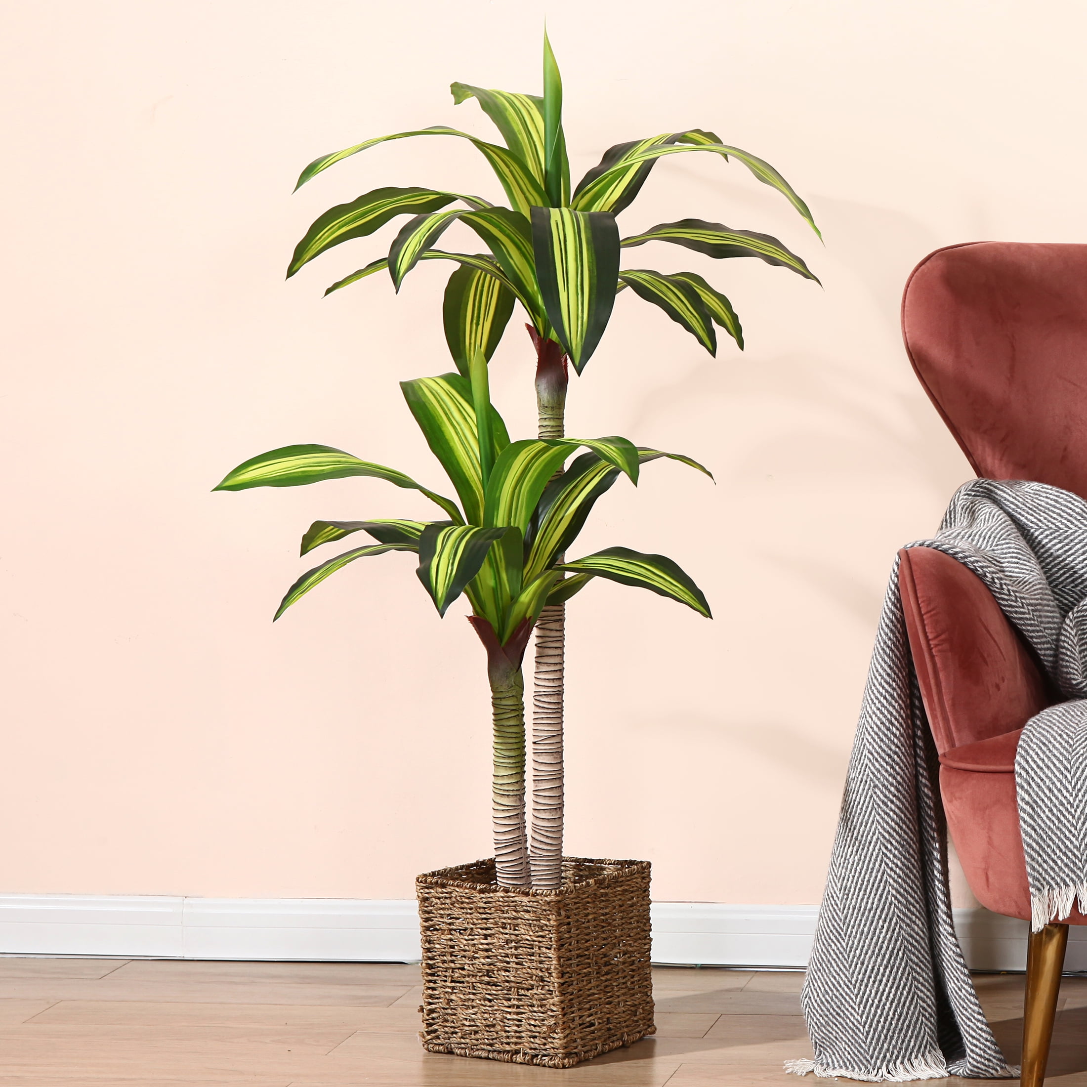 Top 11 Small Indoor Plants for Home Decor