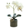 thumbnail image 1 of Artificial Plants,Artificial Orchid Bonsai Potted Phalaenopsis Planter Home Realistic 8-Flower Phalaenopsis Bonsai, Creative Artificial Flower Home,Gardening Supplies, Home Decoration Artificial(D), 1 of 7