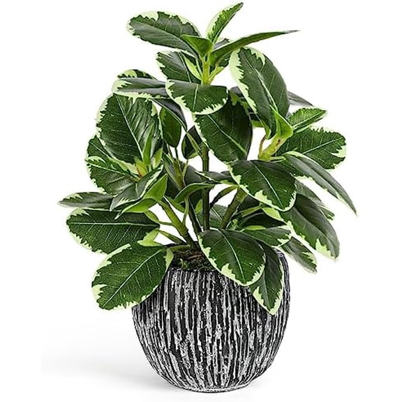 Artificial Plants Indoor Outdoor, Faux Variegated Oak Leaf Plant, Fake Potted Plants Artificial Decor for Coffee Table Desk Shelf, Faux Plants Indoor for Living Room Bathroom Bedroom Entryway Office