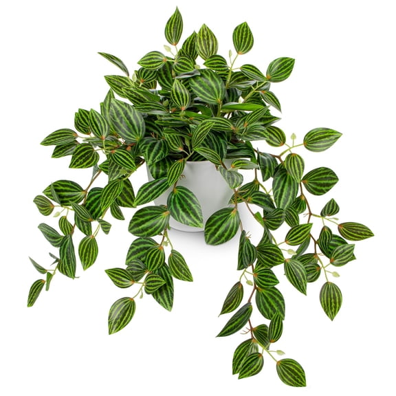 Artificial Plants Indoor Potted Silk Faux Watermelon Peperomia Draping Plant For Home Office Bathroom Shcabinet Tabletop Decoration(green - 1 Pack)
