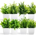 thumbnail image 1 of Artificial Plants Mini Fake Potted Plants, 8 pcs Small Eucalyptus Potted Faux Decorative Grass Plant with White Pot for Home Decor, Indoor, Office, Desk, Shelf, Table Decoration, 1 of 5