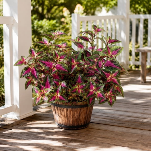 Artificial Plants Outdoor 5 Pcs, UV Resistant Faux Coleus Plants Fake Greenery Stems for Front Porch Patio Garden Wall Decor