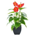 thumbnail image 1 of Artificial Plants Outdoor Artificial Potted Plants Fake Plants Green Realistic Faux Plants for Home Office House Desk Greenery Decoration - red, 1 of 7