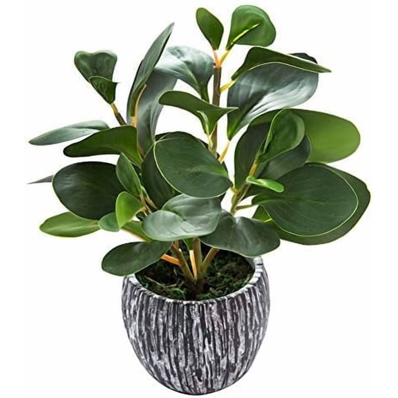Artificial Plants Real Looking and Touching Fake Plant Evergreen Plastic Fiddle Leaf Fig Plant with Rustic Black Cement Planter for Housewarming Office Desk Decor