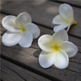 thumbnail image 1 of Artificial Plumeria Frangipani Flower，10 Pcs White Hawaiian Artificial Flower Petals Hawaiian Flower Centerpiece Floating Flowers for Pool, Hair Hat Floral for DIY Crafts Home Beach Wedding Party, 1 of 7
