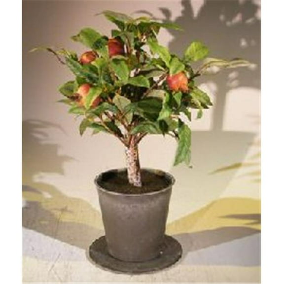 Artificial Pomegranate Bonsai Tree