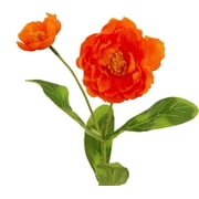 Artificial Poppy Flower 12pcs 21 Long Stem Silk Papaver with 2 Blossoms for Veteran Day Home Decor Centerpiece Housewarming Wedding DIY Bridal BouquetChampagne