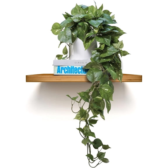Artificial Pothos Ivy Plant in White Melamine Pot Dark Green Realistic Silk Foliage
