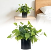 Artificial Pothos Plant in Pot Faux Greenery Desktop Decoration for Home Office Decor Aesthetic Shelf Accents Bathroom Greenery and Minimalist Studio,1PC,H