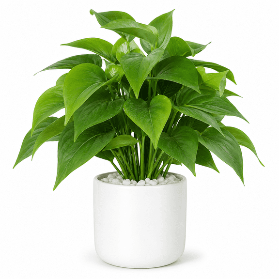 Artificial Pothos Plant in White Ceramic Pot, 11 in Faux Potted Green Leaf Plant for Desk Shelf Home Office Bedroom Decor, 1 Pack
